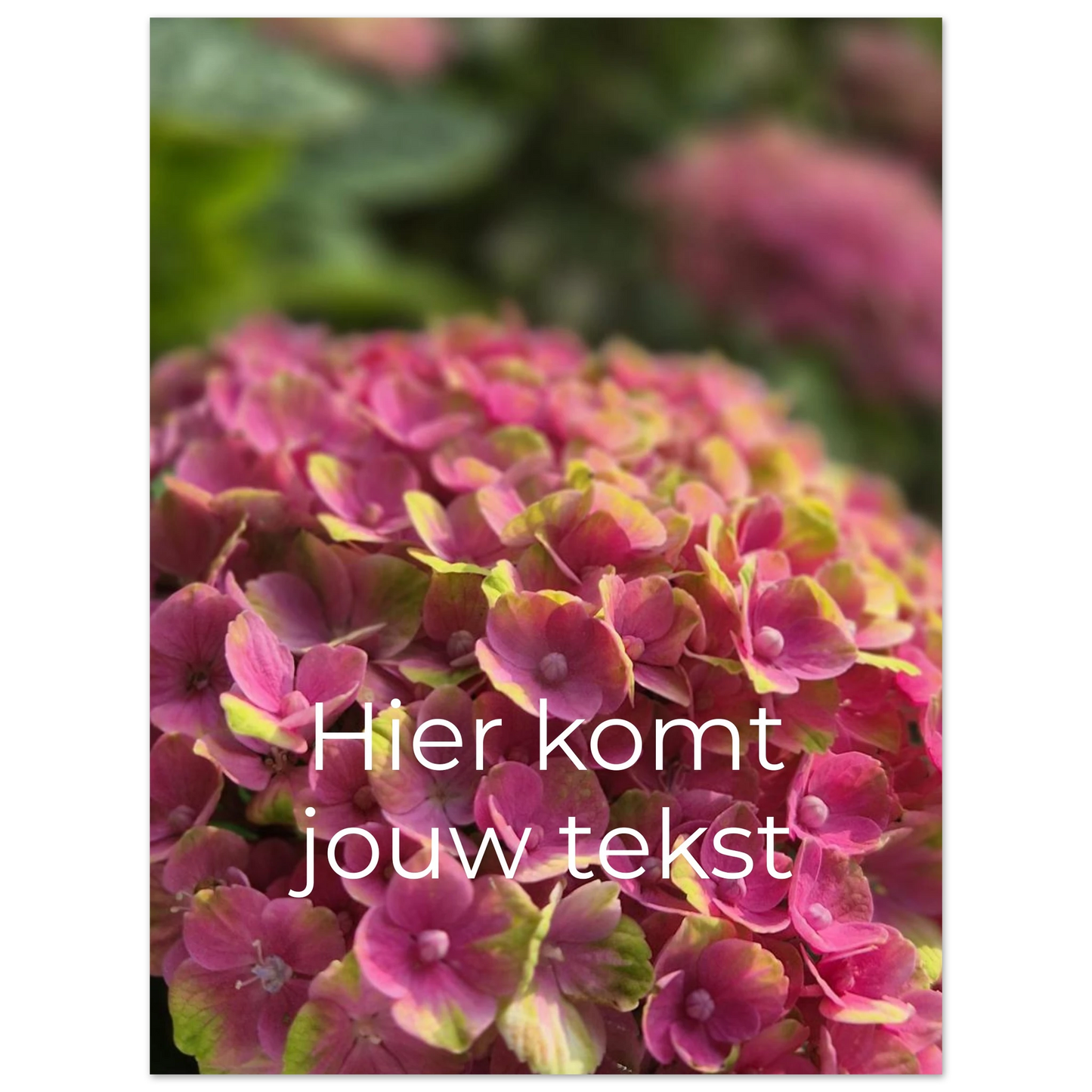 9840879a-8b7f-4689-b804-3b3c931124b8