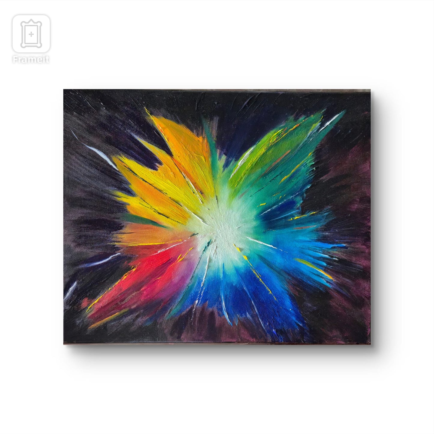 Kleurexplosie – Canvas Print
