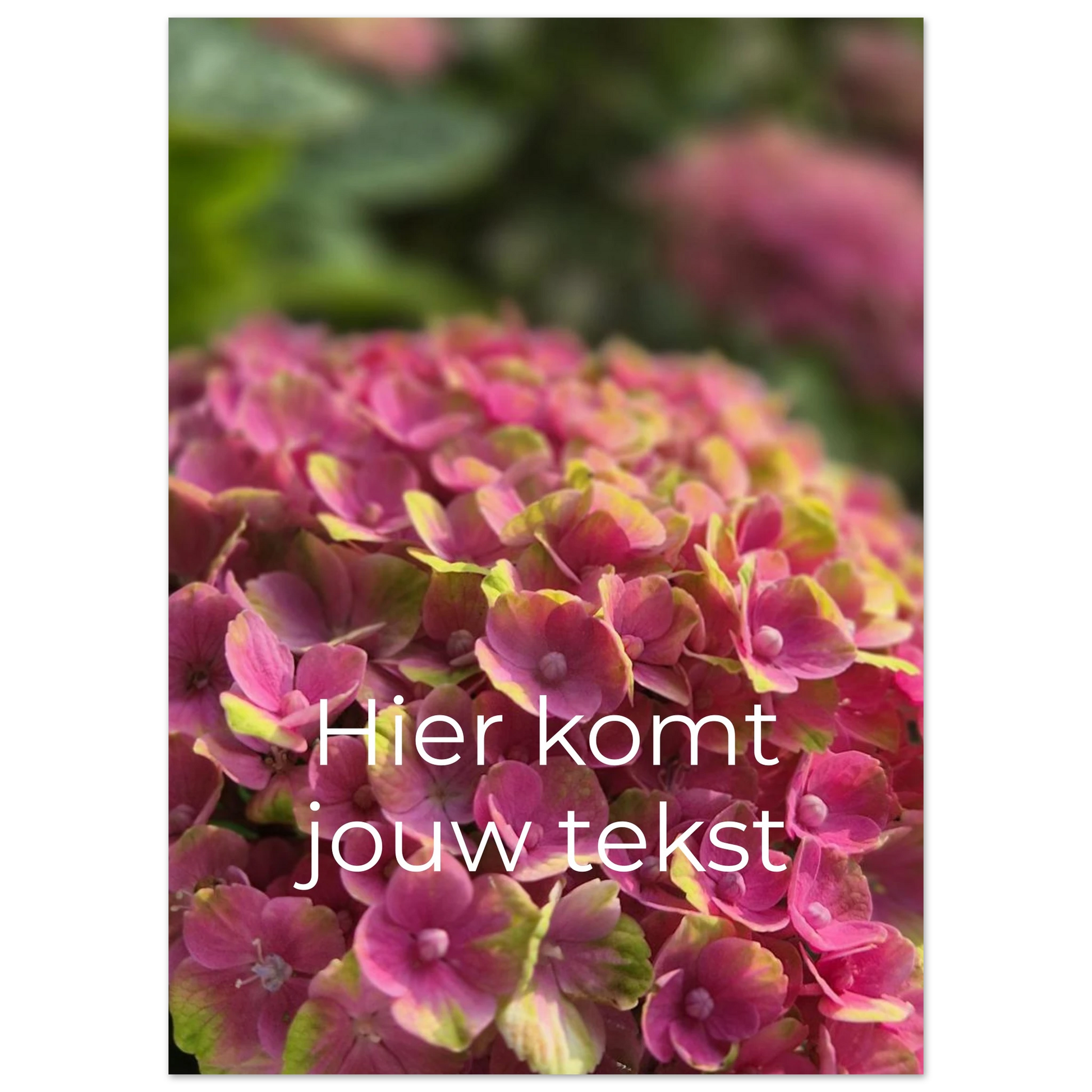 53423fdd-f39c-498e-ab62-7a23af1bdb21