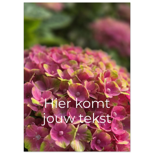 53423fdd-f39c-498e-ab62-7a23af1bdb21